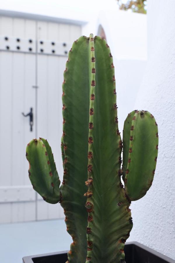 Aidos Villa Santorini Megalochori  Esterno foto